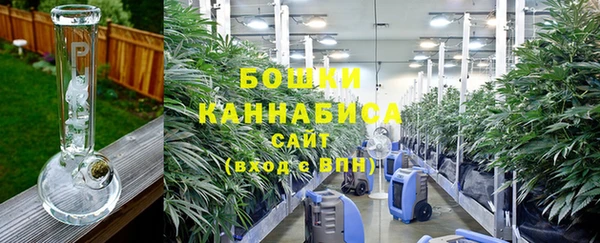 ПСИЛОЦИБИНОВЫЕ ГРИБЫ Абинск