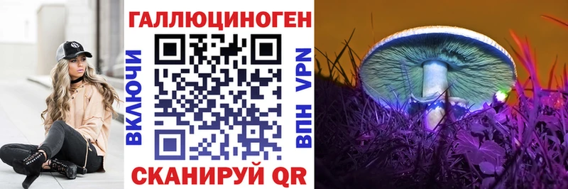 Галлюциногенные грибы мицелий  Суздаль 
