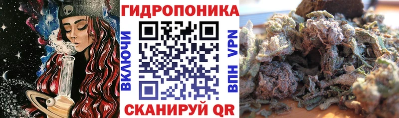 Каннабис THC 21%  где купить наркоту  Суздаль 